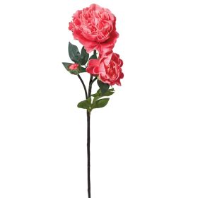 Pink Peony Stem