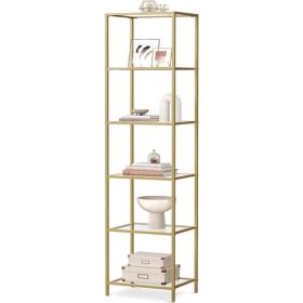 Narrow Glass Shelf Bookcase