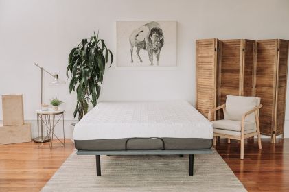 Omne Sleep 8" Gel Memory Foam Mattress Twin XL in White/Dark Gray
