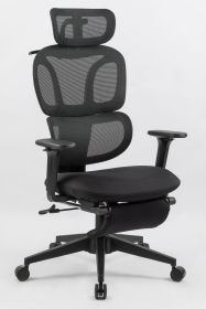 Ergonomic Office Chair with Foot Rest, High Back Computer Office Chair with Dynamic Lumbar Support, 2D Headrest, 4D Armrest, Sponge Seat