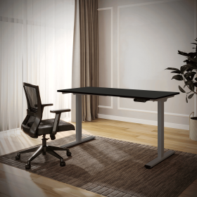 Electric Standing Desk Dual Motor Adjustable Height Desk Home Office Computer Workstation Sit Stand up Desk, 55 x 28 inches (grey frame + black t