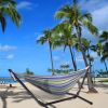Hammock & Steel Frame Stand Swing Chair