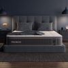 13" Premier Hybrid Mattress
